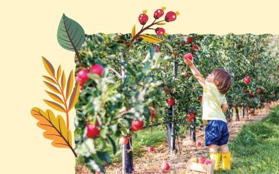 PJ Library Celebrates Apples and Honey on the Farm